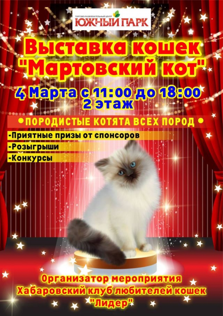 Выставка кошек «Мартовский кот» в ТРЦ Южный Парк. - Торговый центр Южный  Парк - Хабаровск